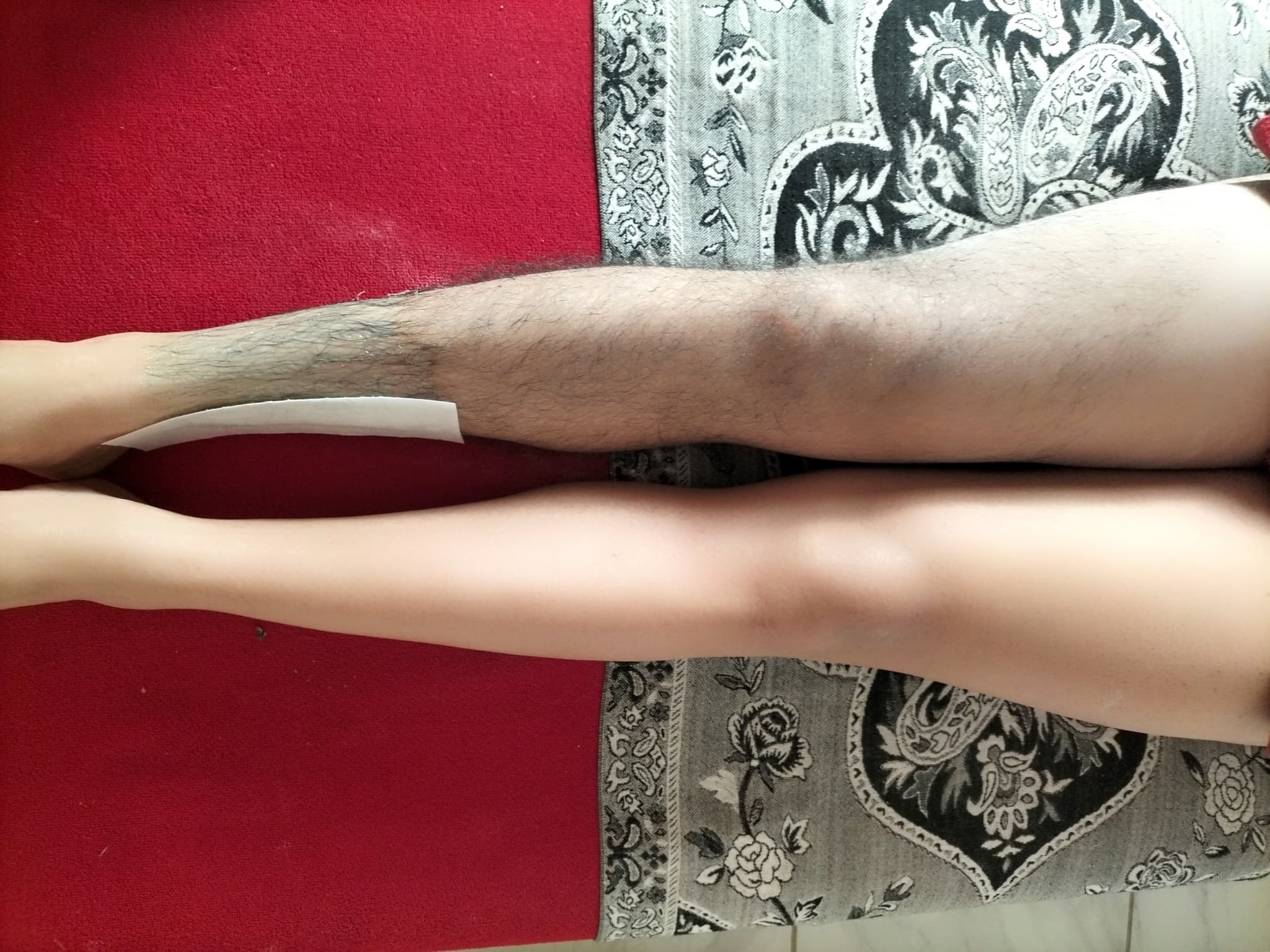 PIERNAS COMPLETAS  - 3